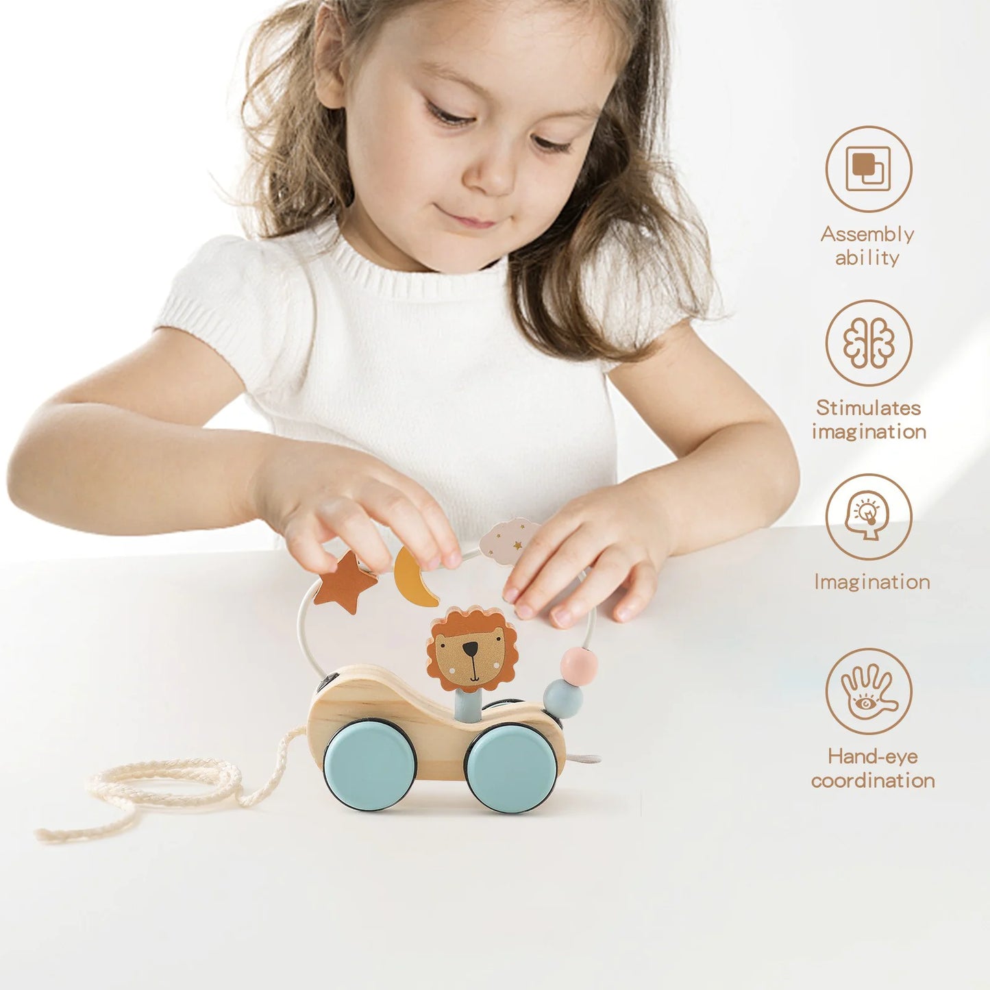 Montessori Wooden Puzzle Toy